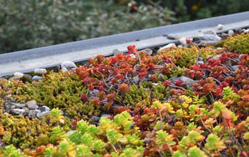 the cost of Monks Eleigh green roof installation