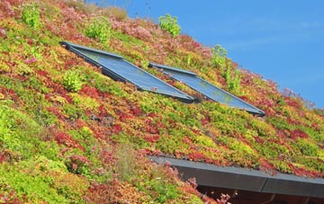Monks Eleigh living roof systems
